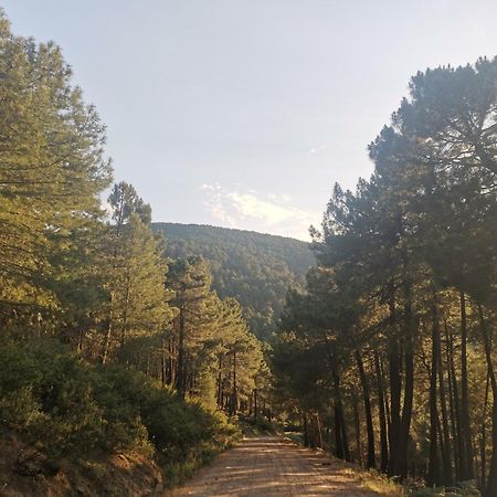 Bonita Casa En El Bosque - El Tiemblo Villa Eksteriør bilde