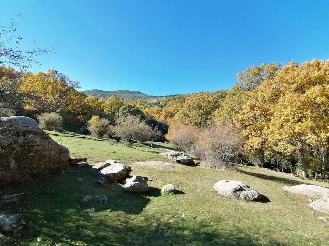 Bonita Casa En El Bosque - El Tiemblo Villa Eksteriør bilde