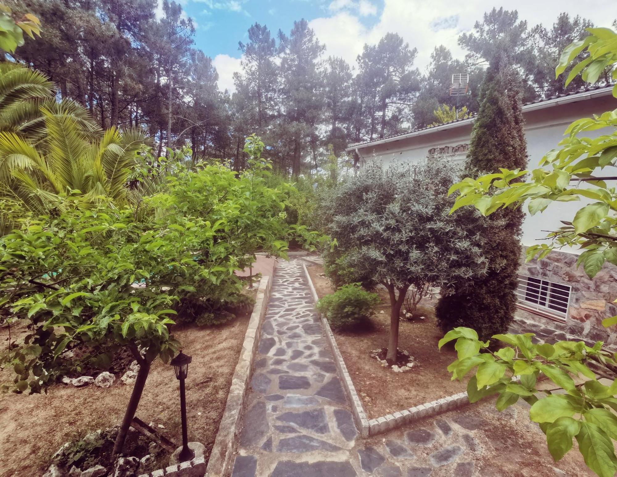 Bonita Casa En El Bosque - El Tiemblo Villa Eksteriør bilde